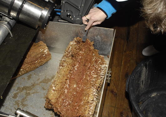 First view of log sample in ROV sample drawer aboard RV G.O.Sars, July 2007