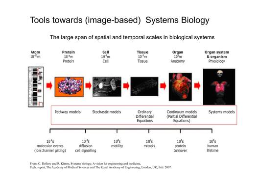 Tools towards image based systems biology