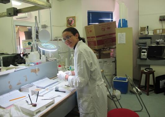 Yusra Taha on field work where she sampled gobies in the lab of National...