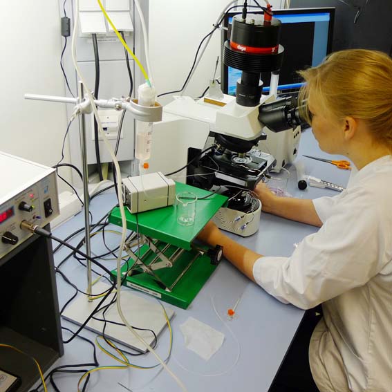 Ultrahigh resolution darkfield microscopy Biomaterials UiB