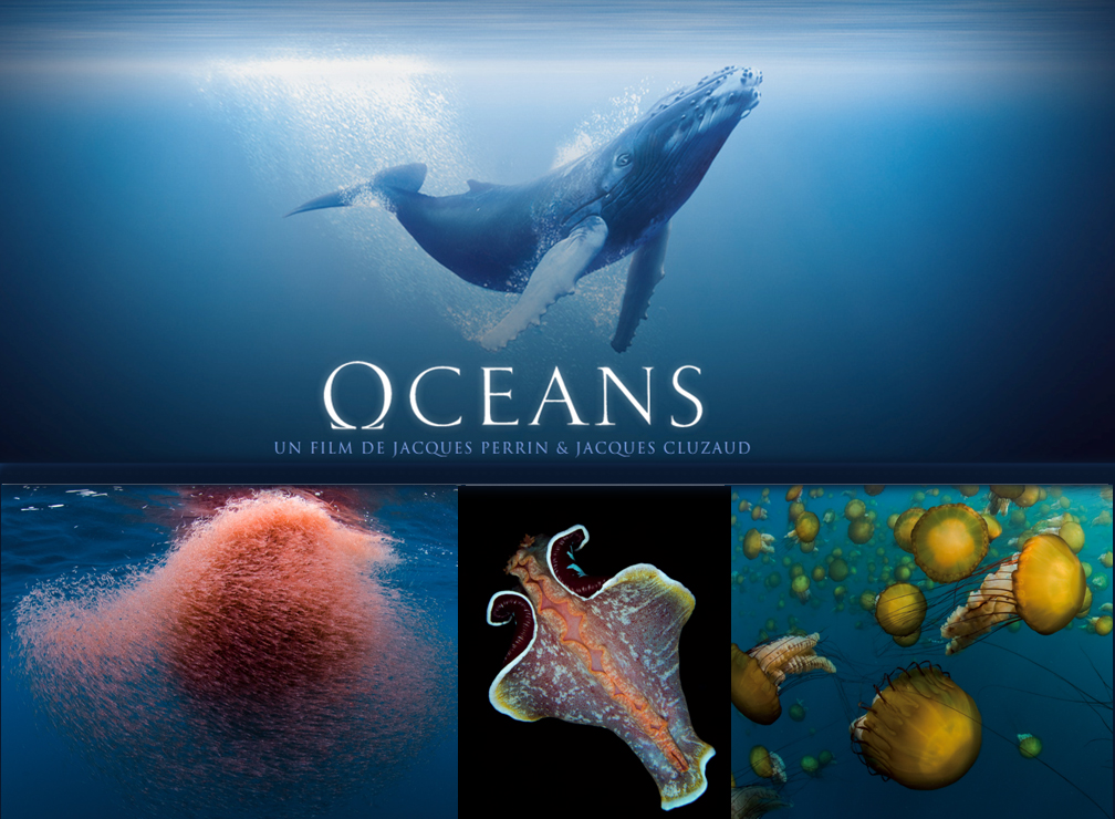 New Ocean Documentary Department of Biological Sciences (BIO) UiB